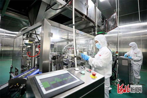 高质量发展调研行 邢台食品加工业挺进功能性食品新赛道